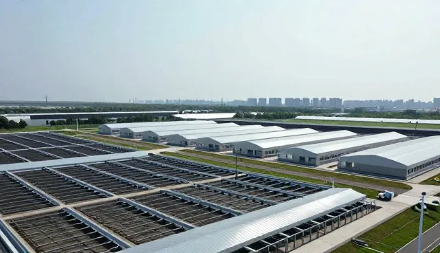 设备安装过程中维护建议及常见问题处理